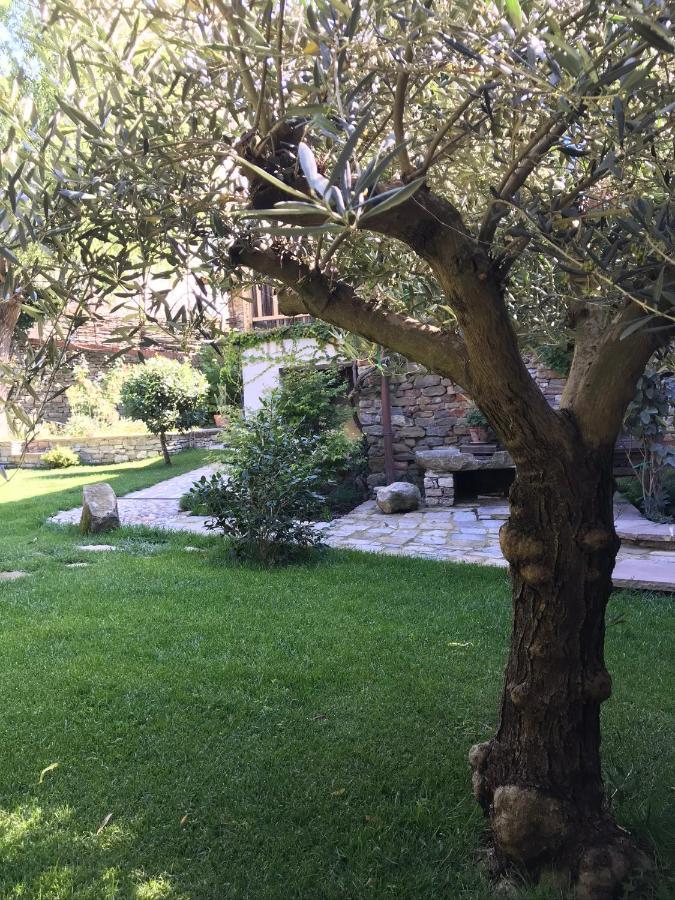 Number 10 Locanda B&B Belvedere Langhe Exterior photo